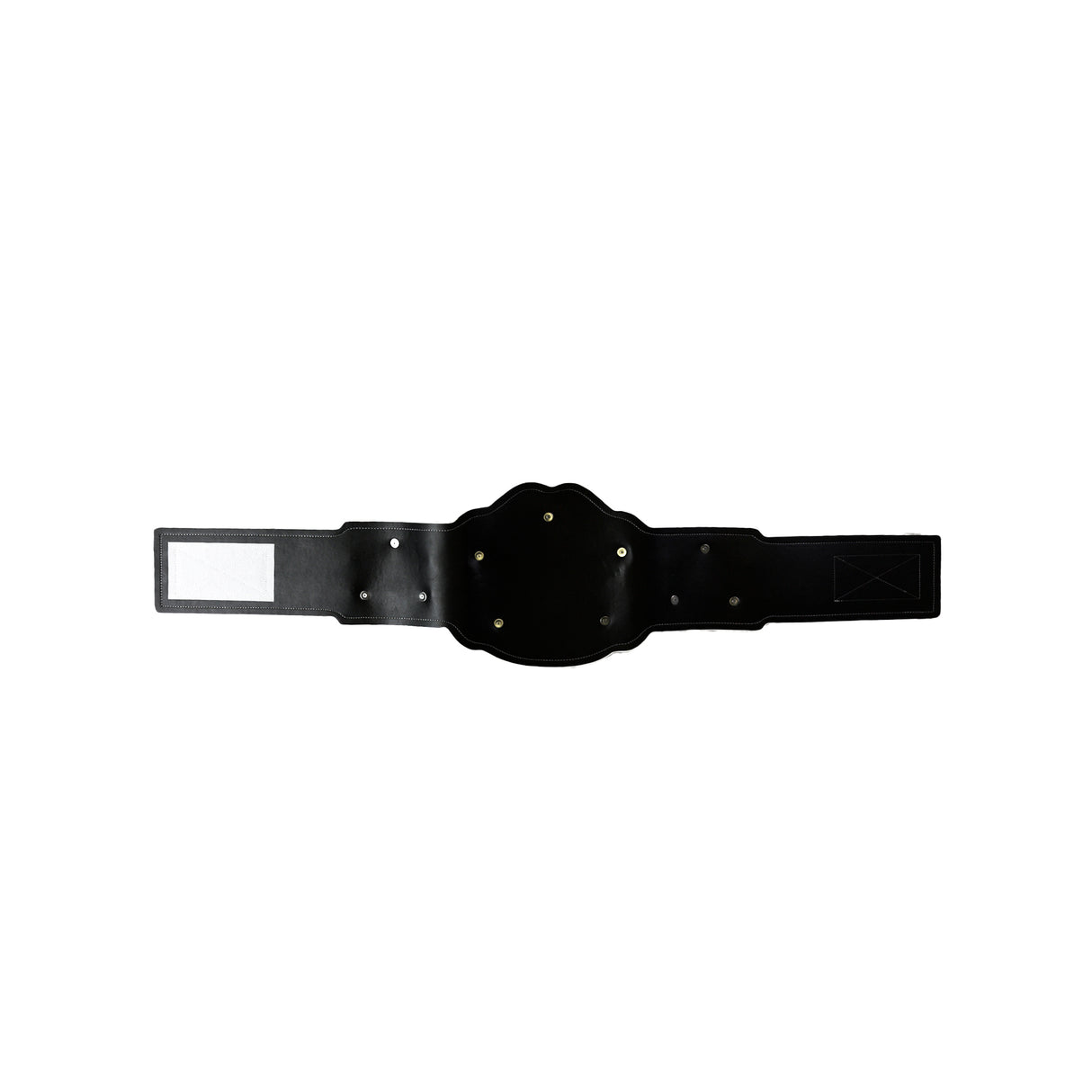 GEN2 Champion Belt Black&Gold