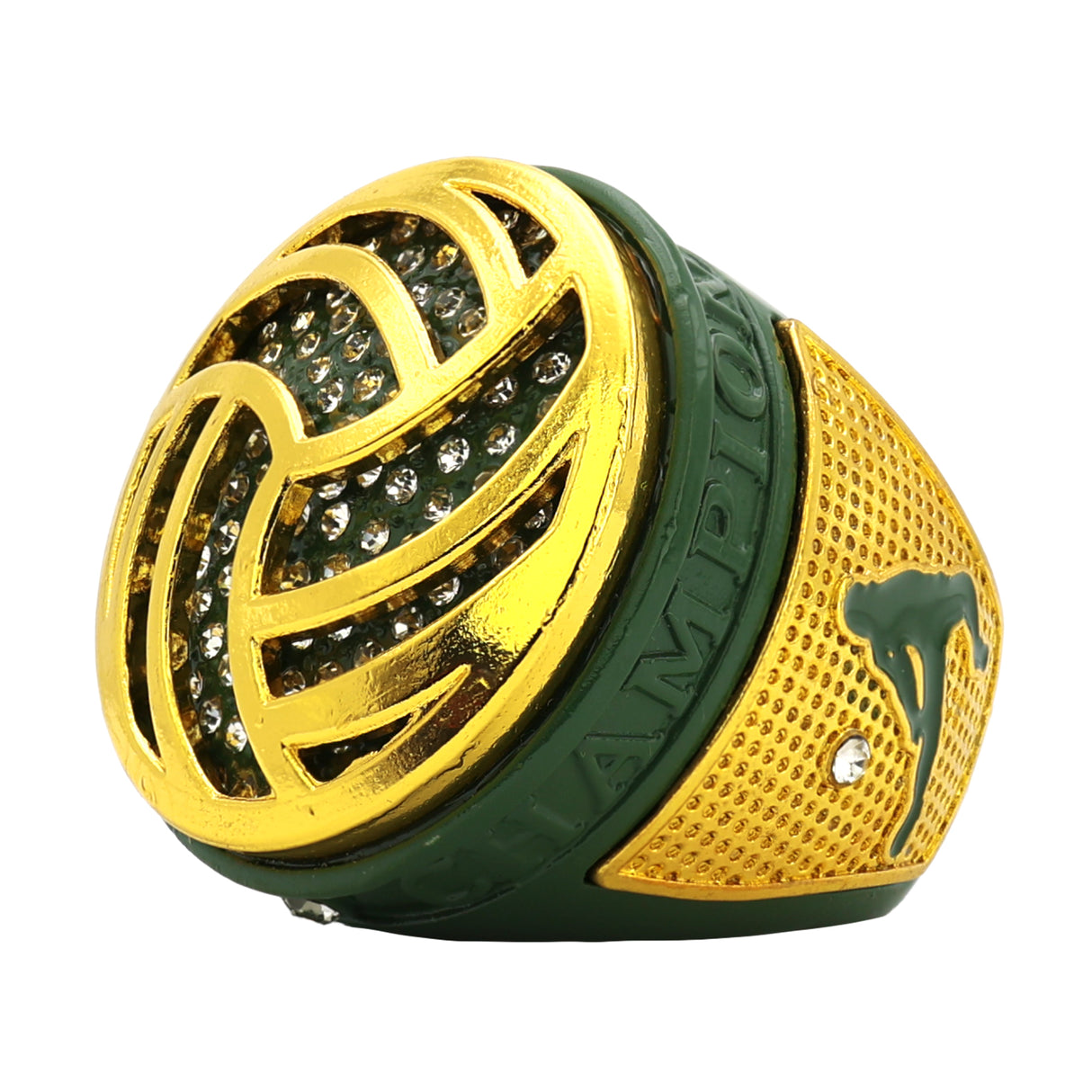 Volleyball Turtle Champions Ring