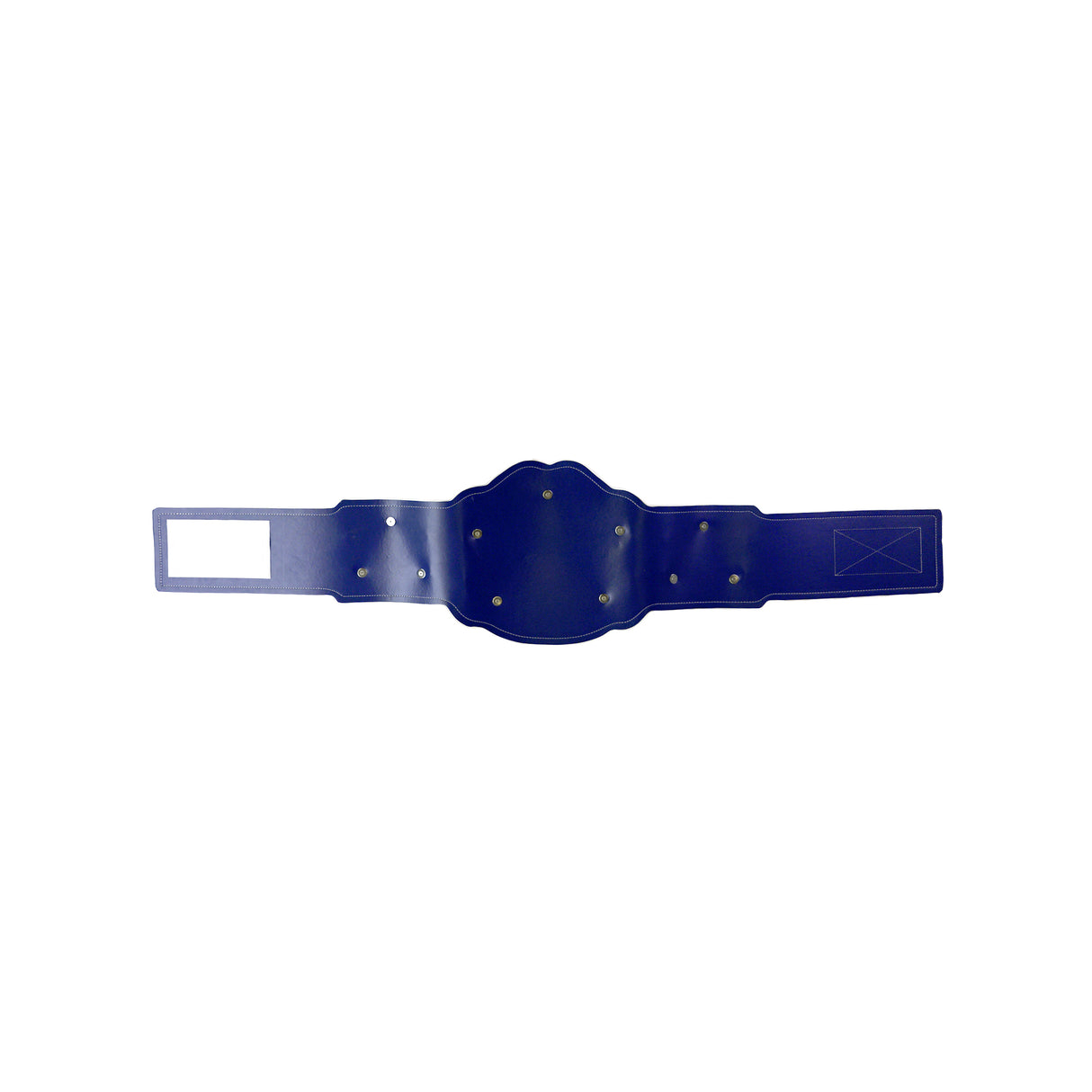 GS26 Belt Navy/Gold