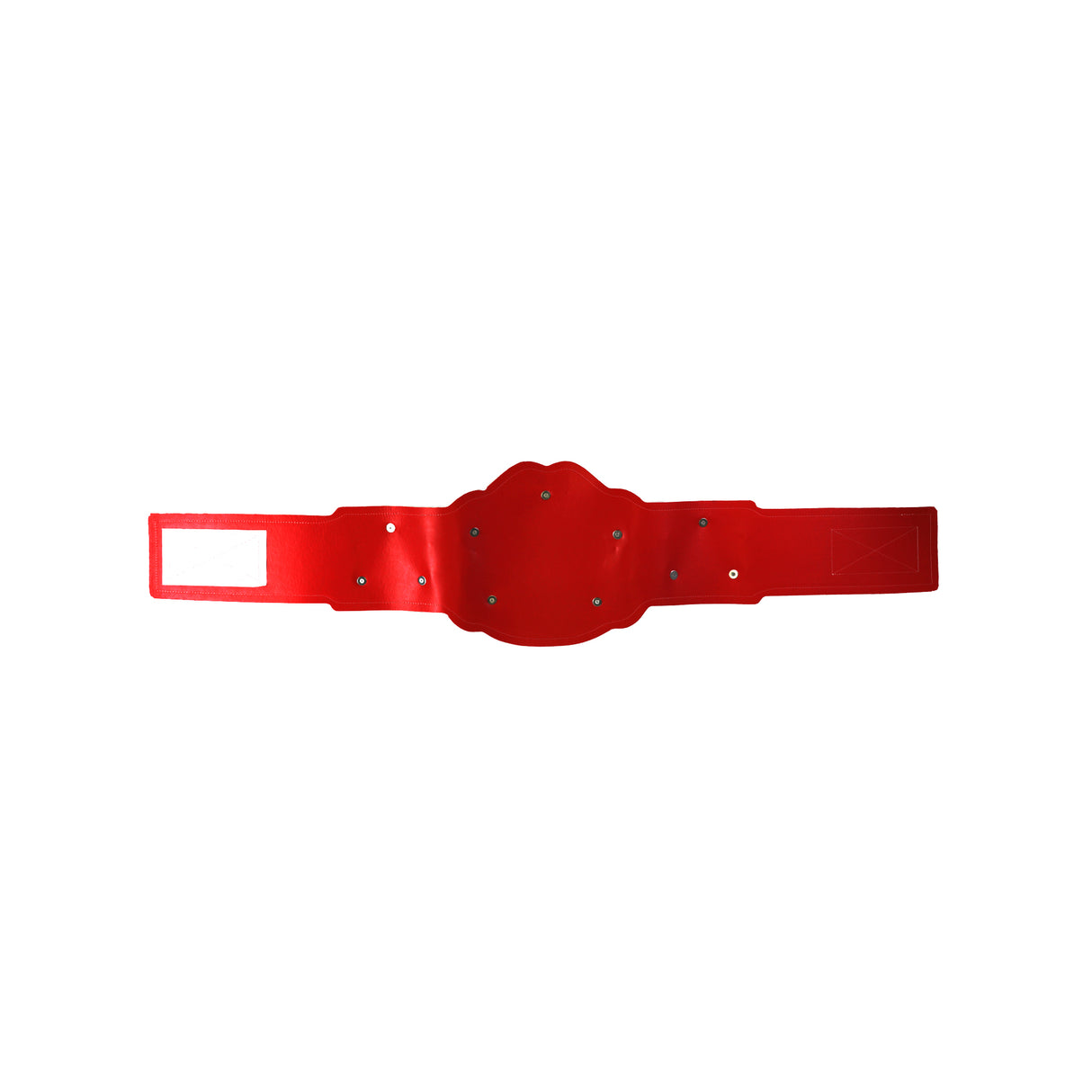 GEN2 Champion Belt Red&Gold