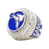 Karate Blue Finalist Ring