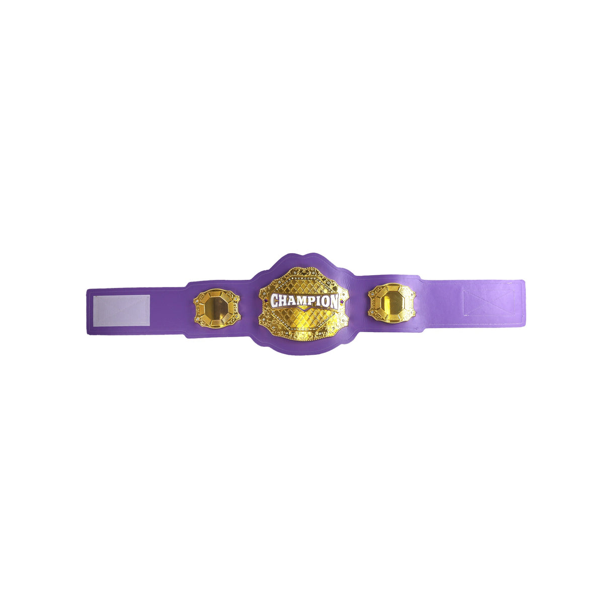 GEN2 Champion Belt Grape