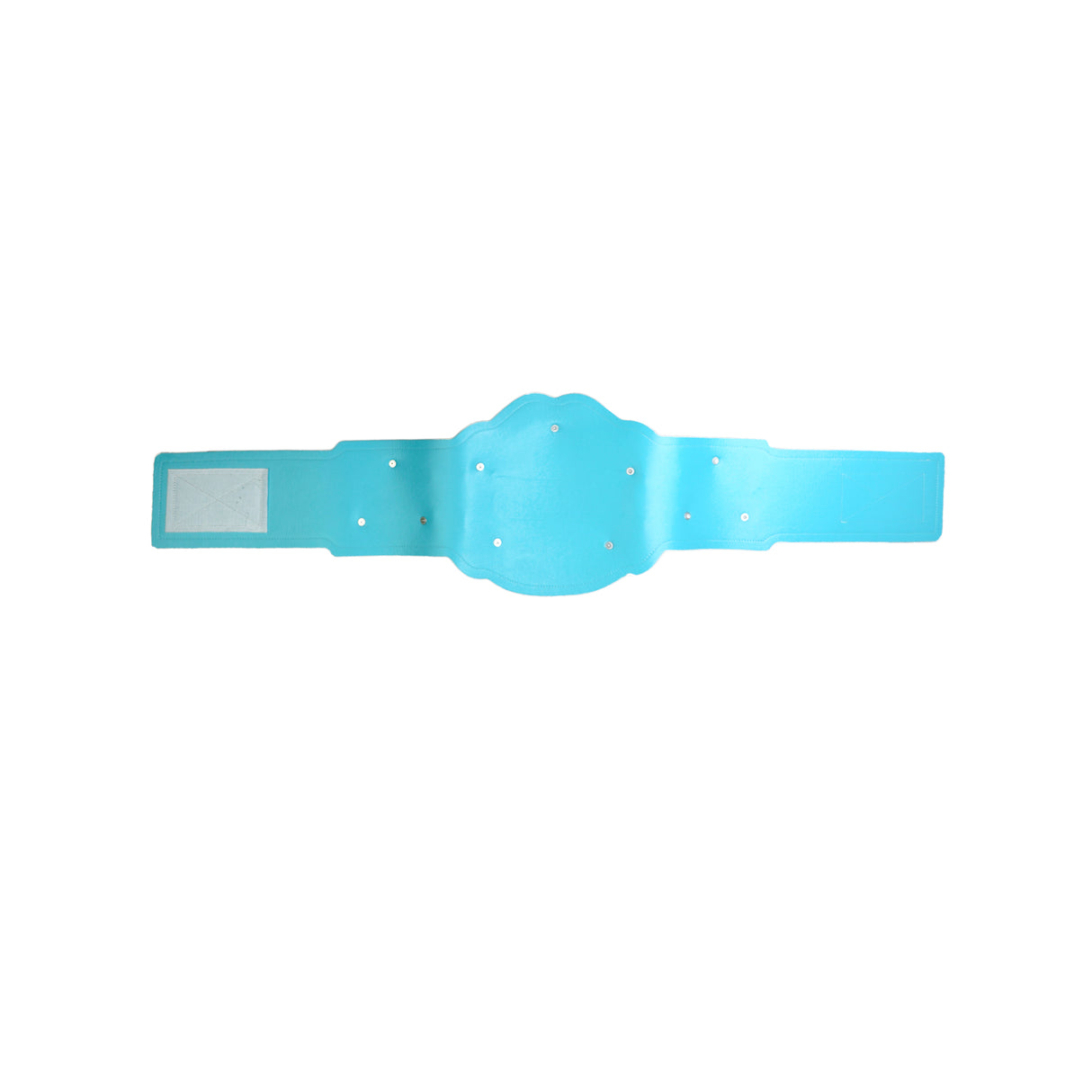 GS26 Belt Light Blue/Gold