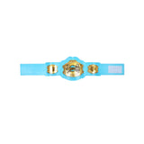 GS26 Belt Light Blue/Gold