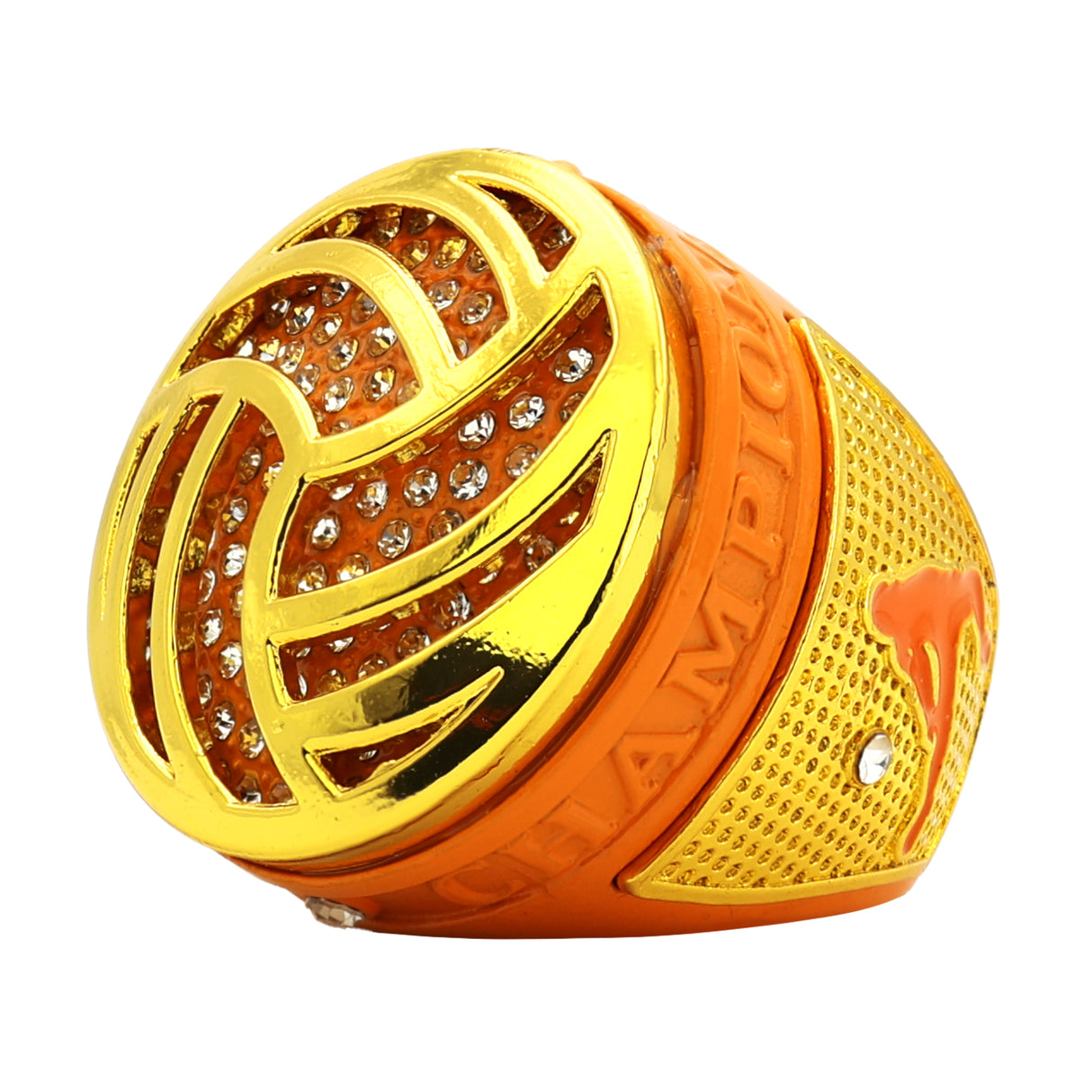 Volleyball Goldfish Champions Ring