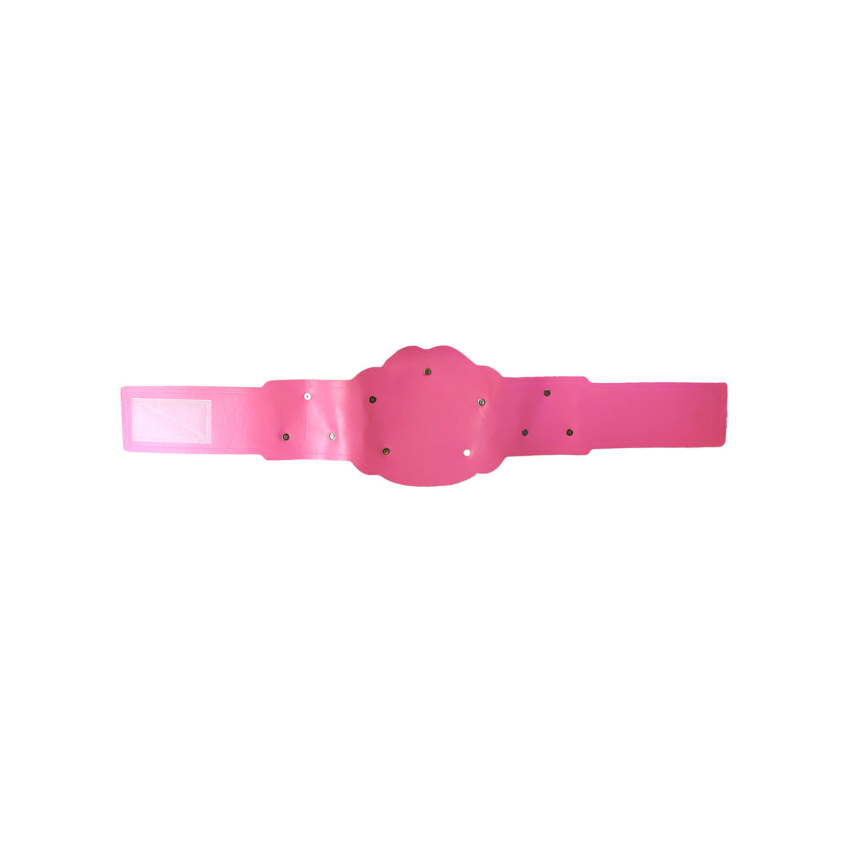 GS26 Belt Pink/Gold