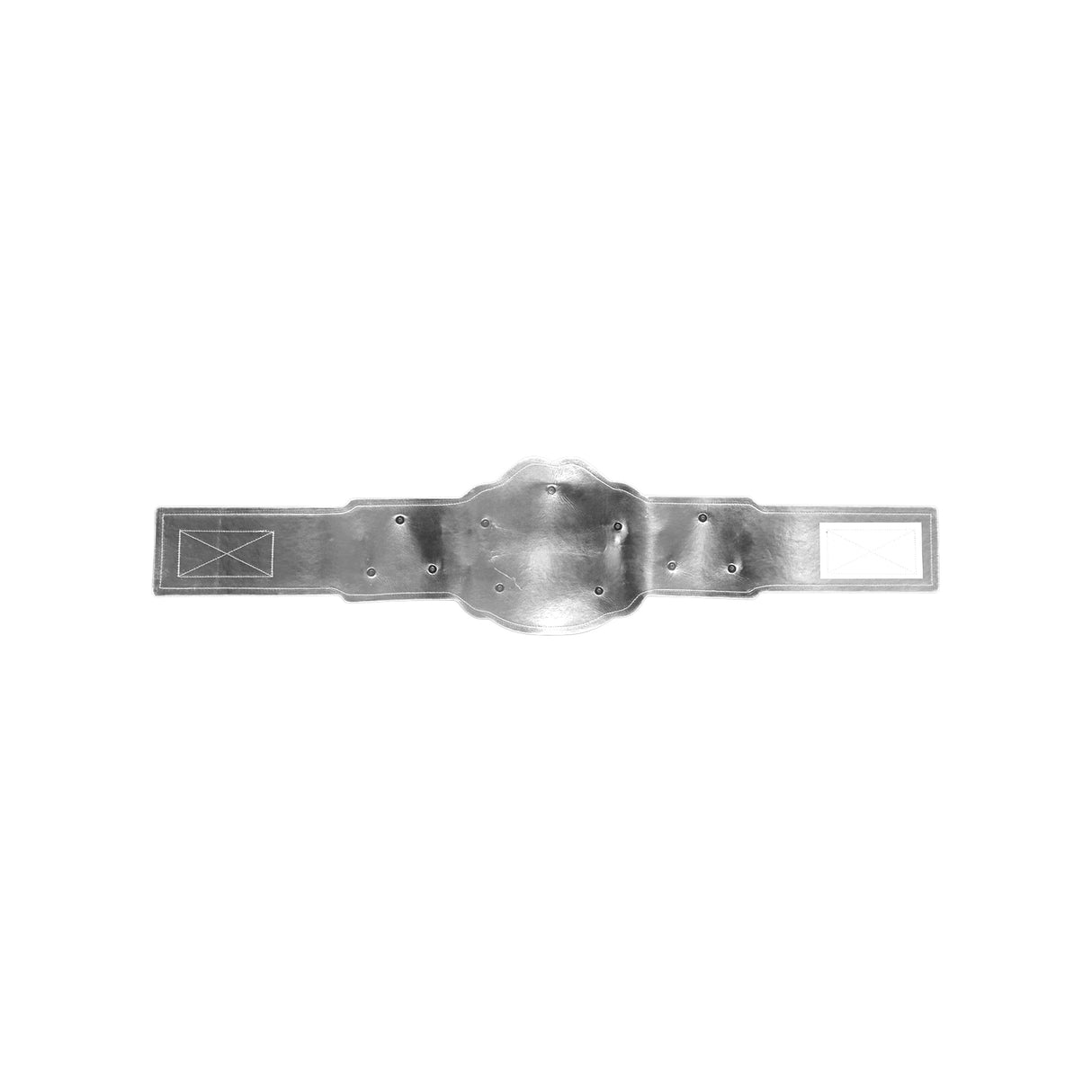GEN2 Champion Belt Silver&Gunmetal